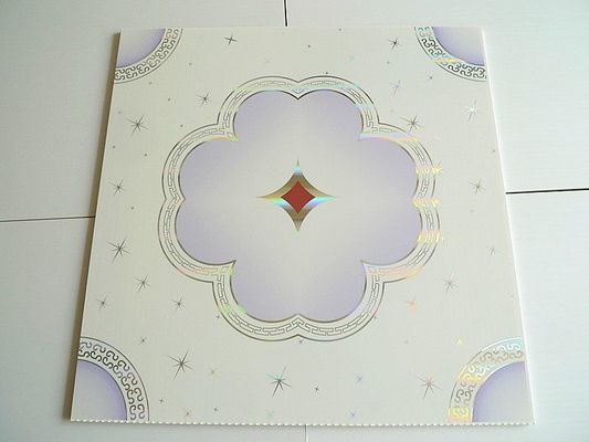 Panel de PVC compuesto 3D para paredes y techos tamaño decorativo Ect pd109 Material duradero