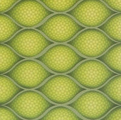 PD117 Panel de PVC 3D impermeable para paredes y techos Peso bruto 3.000 kg