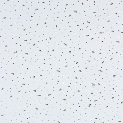 Tabla de techo perforada de lana mineral de 600 mm para absorción de sonido interior
