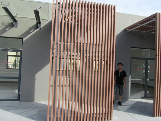 Recinto de cubierta exterior de madera de plástico compuesto WPC NY75 * 25 con patrón de grano de madera