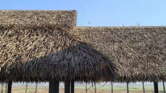 Decoración exterior Tejas de paja con características que nunca se desvanecen y larga vida útil