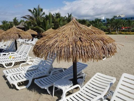 Ventas globales de tejado de paja hermoso y elegante azulejos para la decoración de aspecto natural
