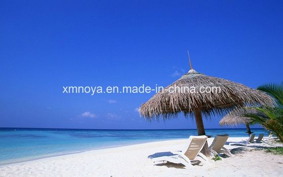 Material de techo de paja impermeable personalizado para playa sintético y tamaño personalizado