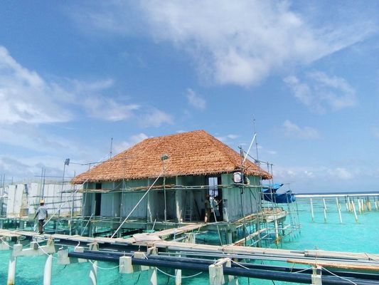 Solución para techos de hoteles Anti-UV Hojas de palma sintéticas Techo de paja con material de nylon