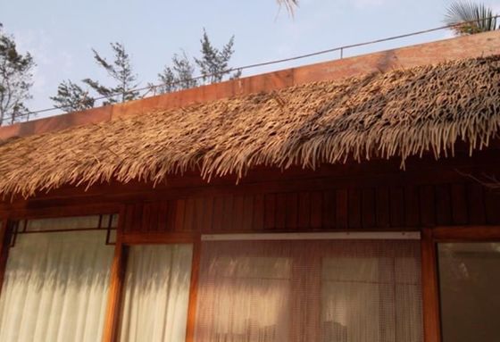 Solución para techos de hoteles Anti-UV Hojas de palma sintéticas Techo de paja con material de nylon