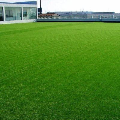 25 mm de altura de la pila PP Césped artificial para el campo de fútbol NYG010 área de ocio