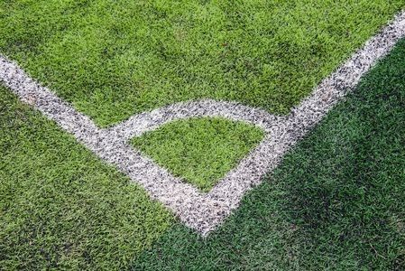 Hierba artificial de perfil cruzado tipo oliva de 2m*25m para jardines y promoción del paisaje