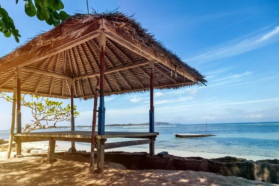 Buen precio Indonesia plástico artístico de paja seca Gazebo canopy tienda de campaña Pergolas tiendas de campaña de paja sintética Cottage Techo de hierba seca