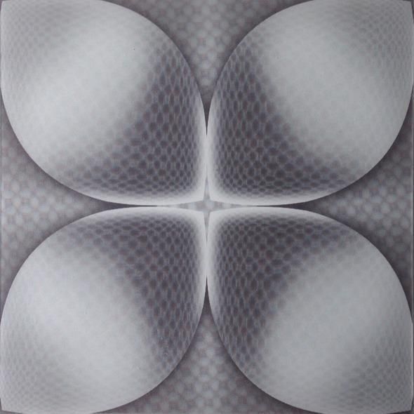 460mm*460mm Tamaño PD120 Panel de PVC 3D para paredes y techos Decorativo Muchos diseños